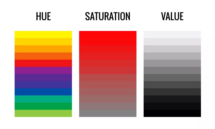 Color wheel and value scale painting